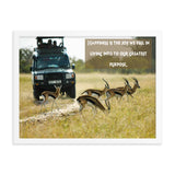 Gazelles Africa Print - The Be Line Products