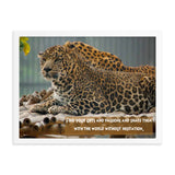 Cheetahs Africa Print - The Be Line Products