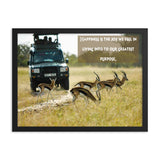 Gazelles Africa Print - The Be Line Products