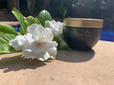 Whipped Body Butter 8oz - The Be Line Products