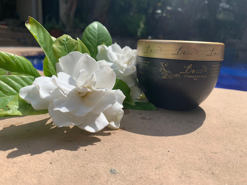 Whipped Body Butter 8oz - The Be Line Products