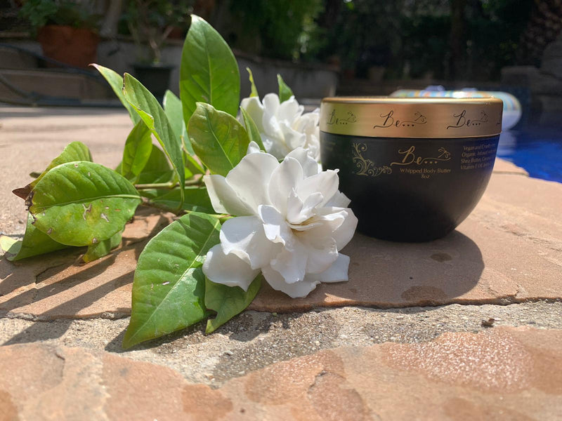 Whipped Body Butter 8oz - The Be Line Products
